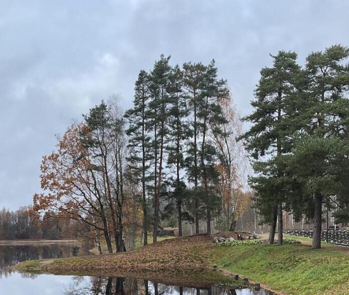 Latvijoje ramus savaitgalis – debesys, rūkas, iki +10 laipsnių