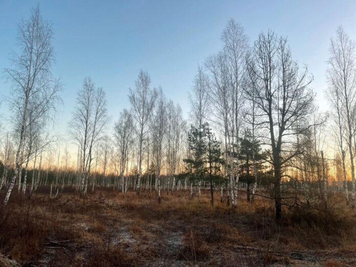 Savaitės pradžioje į Latviją sugrįžta sniegas: numatomi slidūs keliai ir minusinė temperatūra