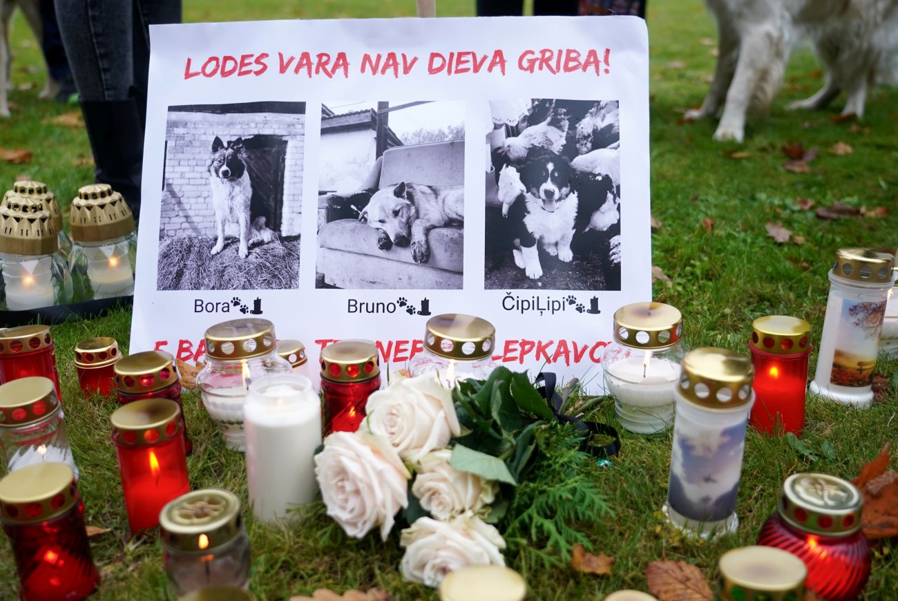 Keturiems asmenims pareikšti kaltinimai dėl trijų šunų sušaudymo Latvijoje