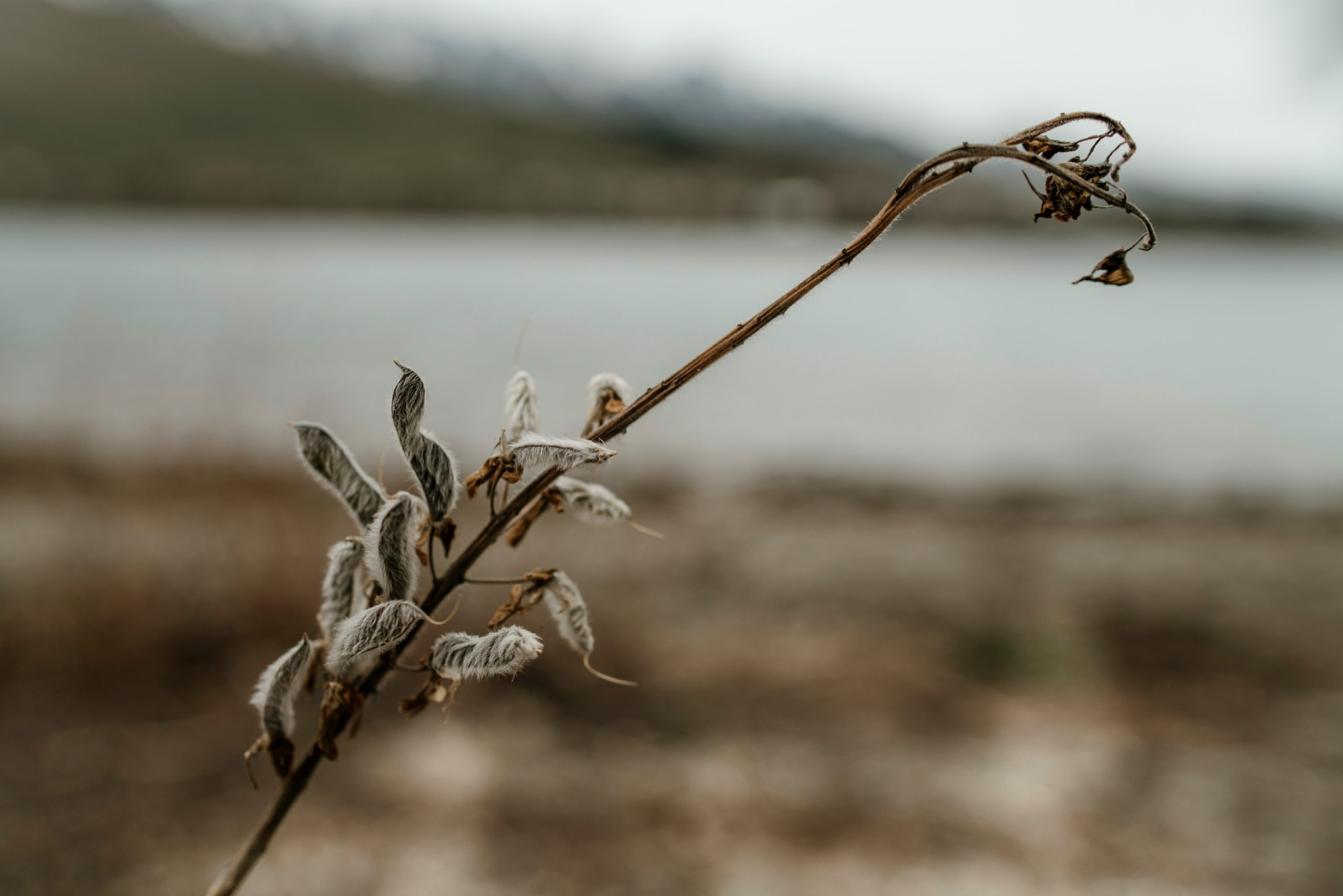 Ministras kritikuoja Čekijos klimato politiką; žadėjo „tekės žalias kraujas”