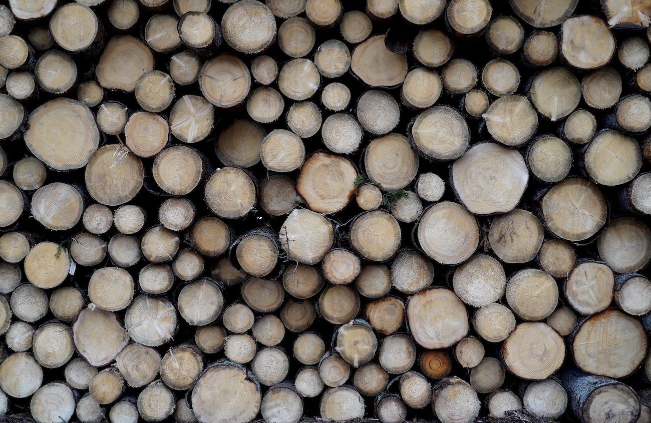 „Rīgas meži“: Miškininkystės sektorių ir toliau veiks geopolitiniai ir ekonominiai iššūkiai