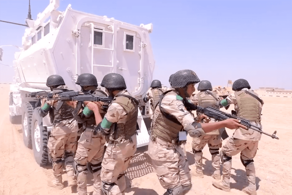 Didėjant įtampai Afrikos Kyšulyje, Egiptas nori daryti įtaką