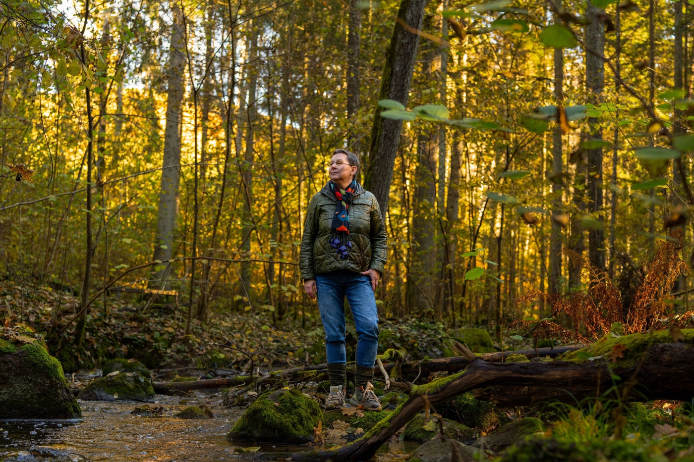 Miško kvapas prieš „Zoom“ nuovargį: kaip sensorinė gamtos patirtis atkuria dėmesingumą?